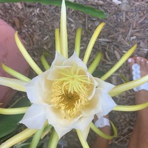 Meet your Posher, Judy